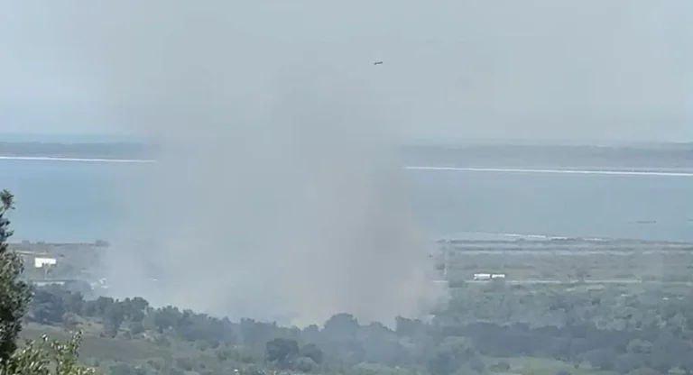 Zjarr i përmasave të mëdha në ullishtet e Panajasë, era e fortë përhap me shpejtësi flakët