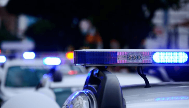 Bastisje në Koçan, zbulohen lëndë narkotike